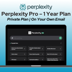 Perplexity